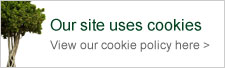 cookies policy link