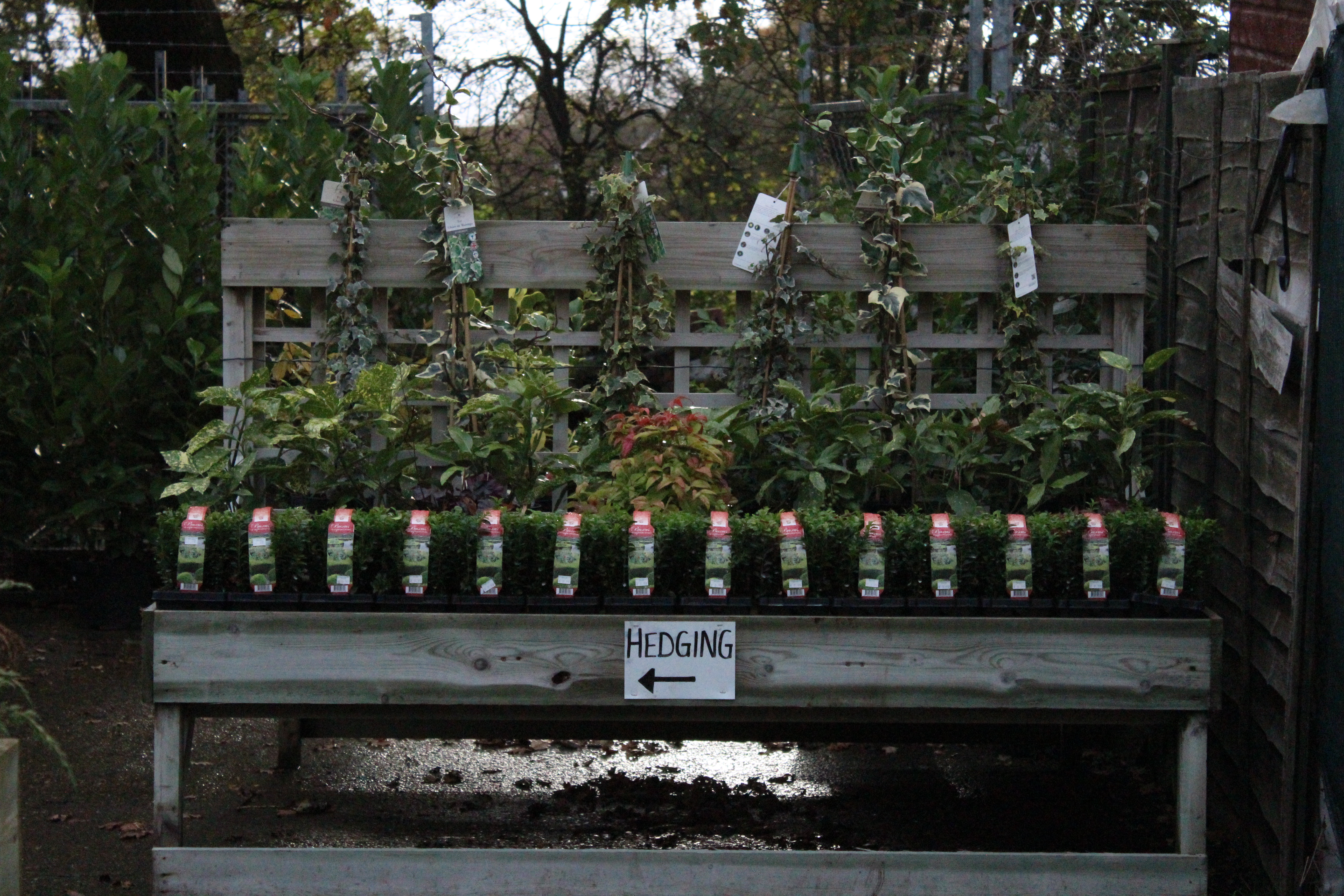 Plant Centre North Walsham Garden Centre