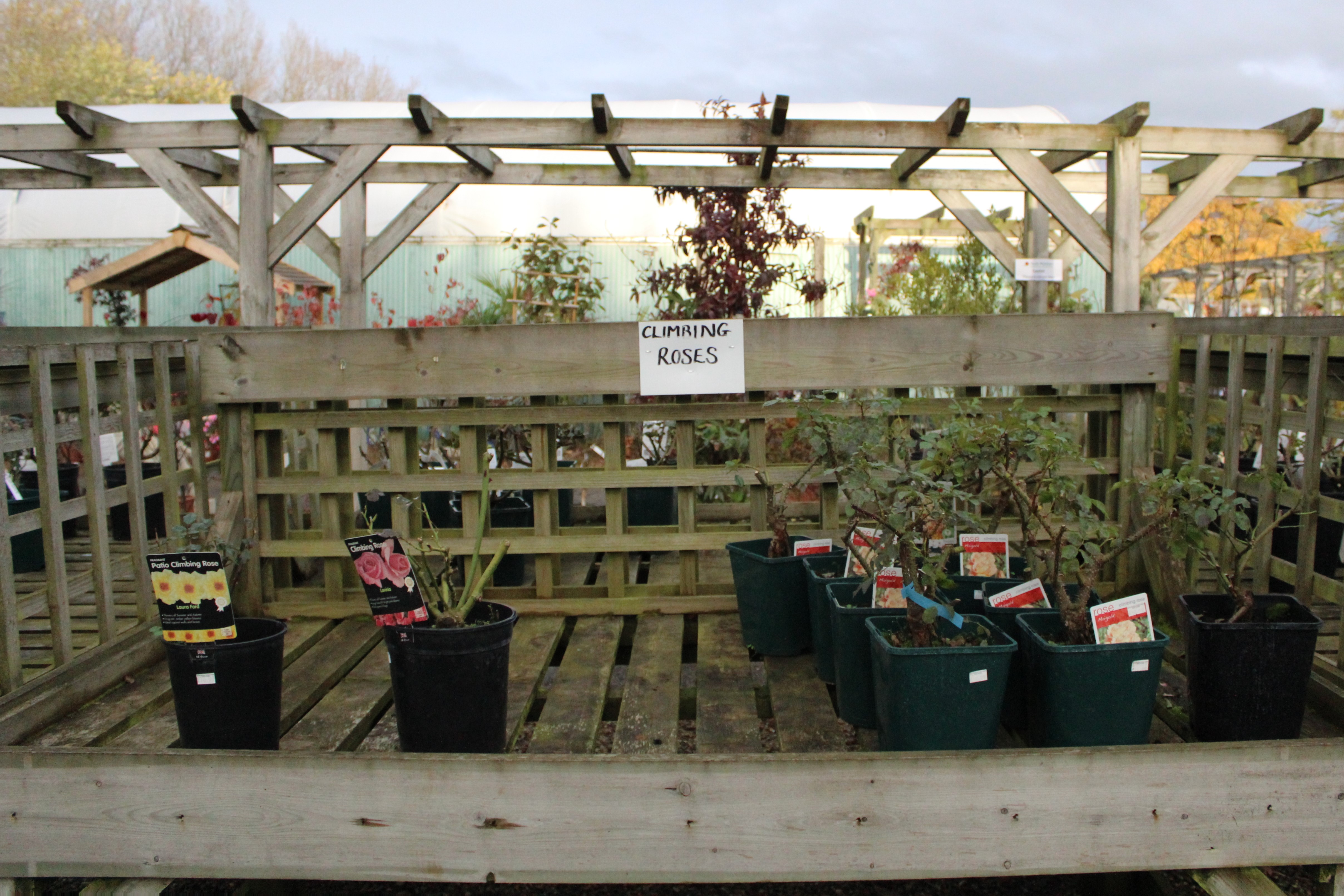 Plant Centre North Walsham Garden Centre