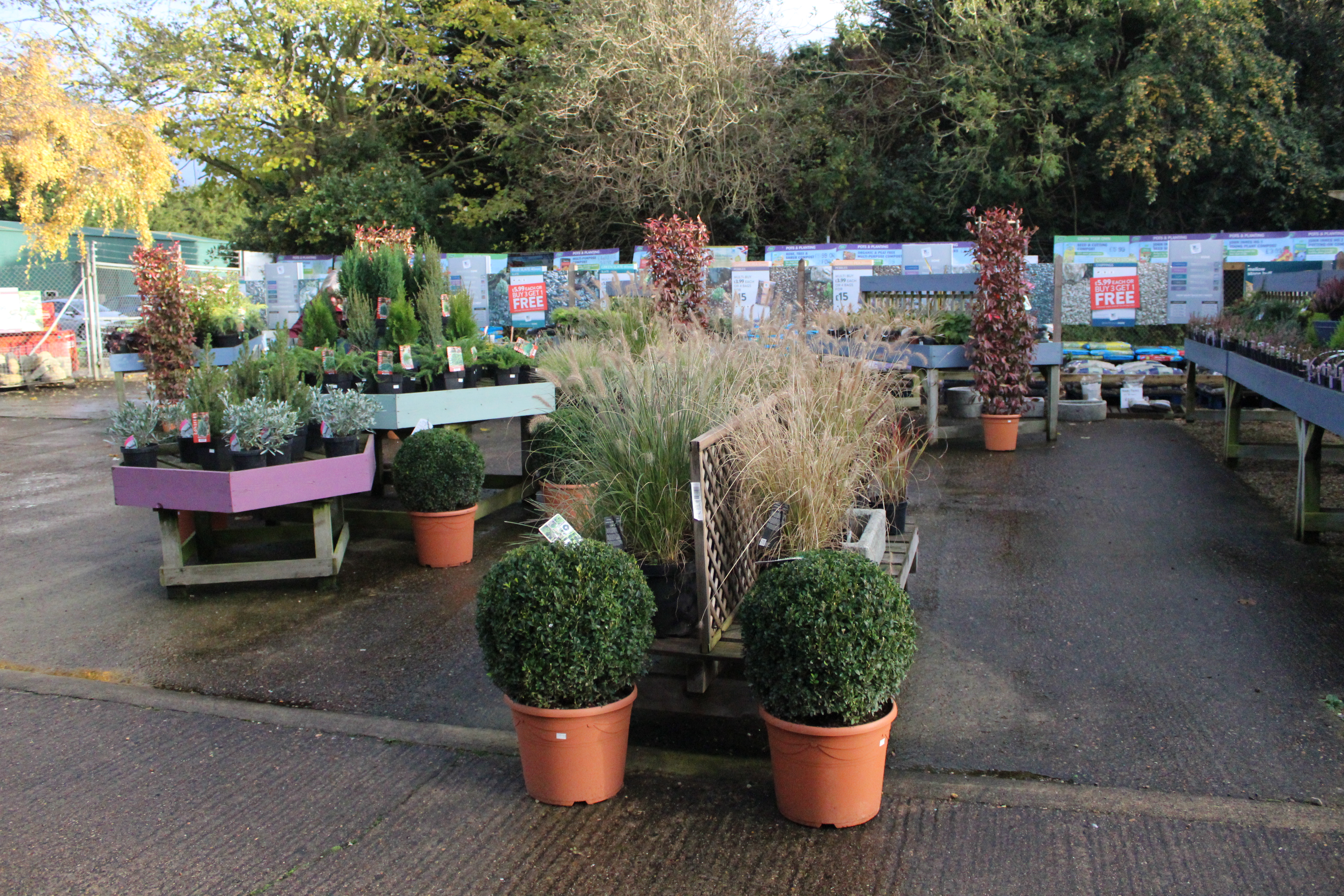 Plant Centre North Walsham Garden Centre