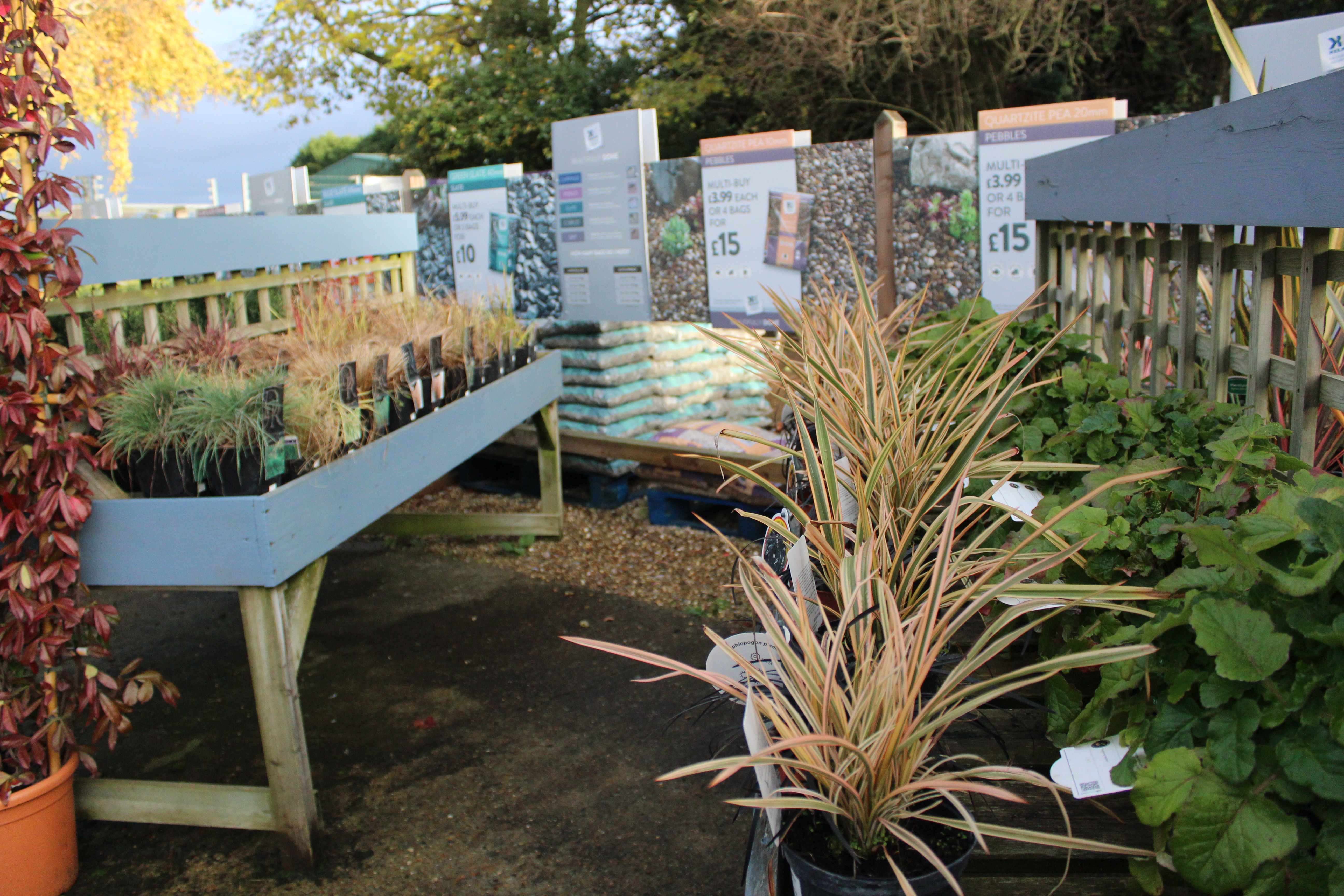 Plant Centre North Walsham Garden Centre